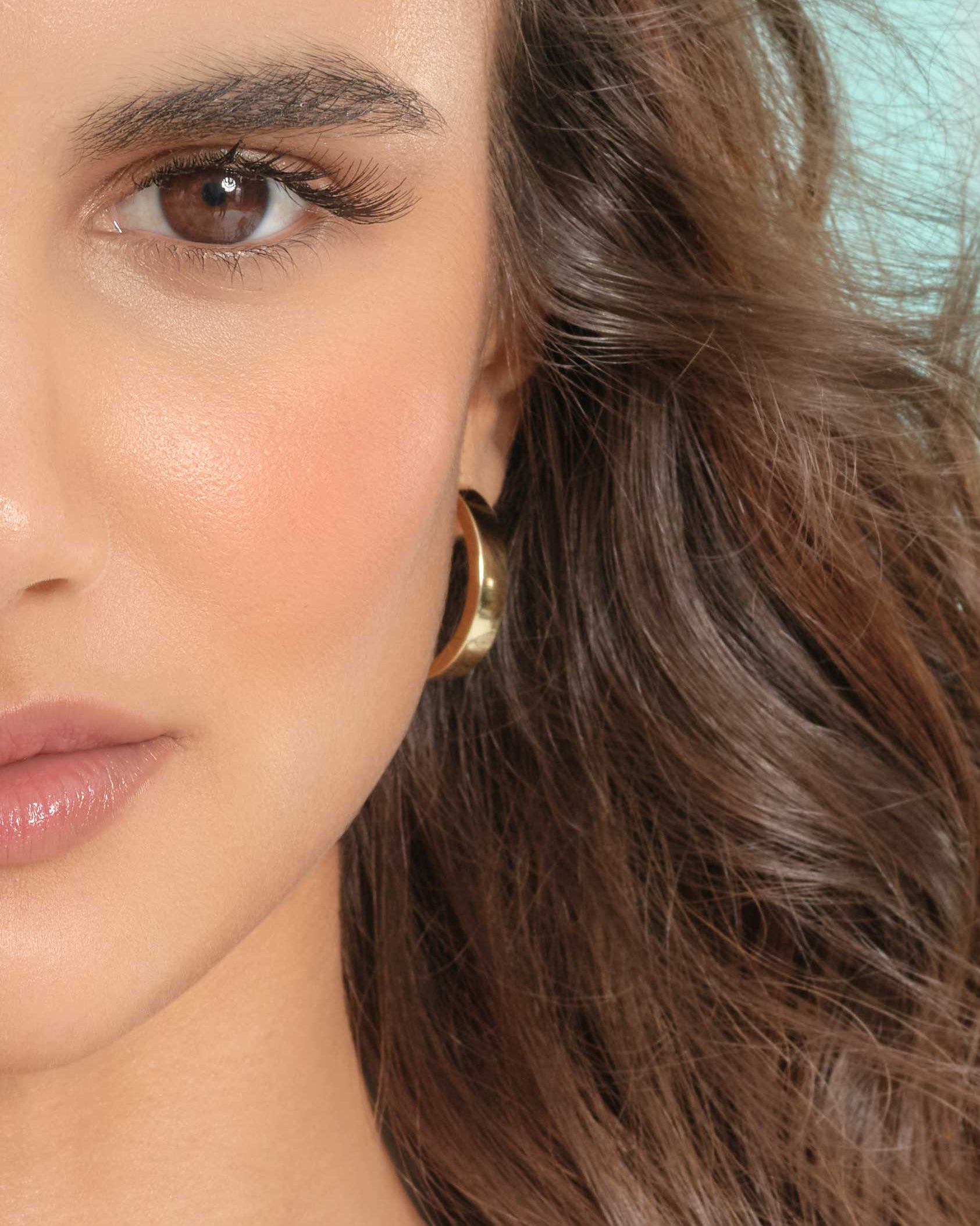 Oval Hoop Earrings