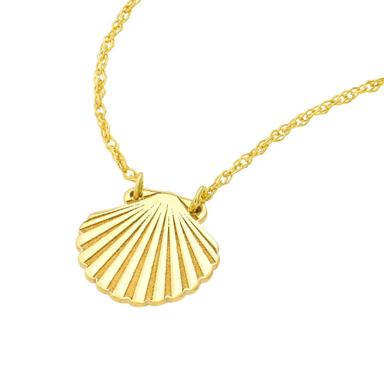 SeaShell Necklace