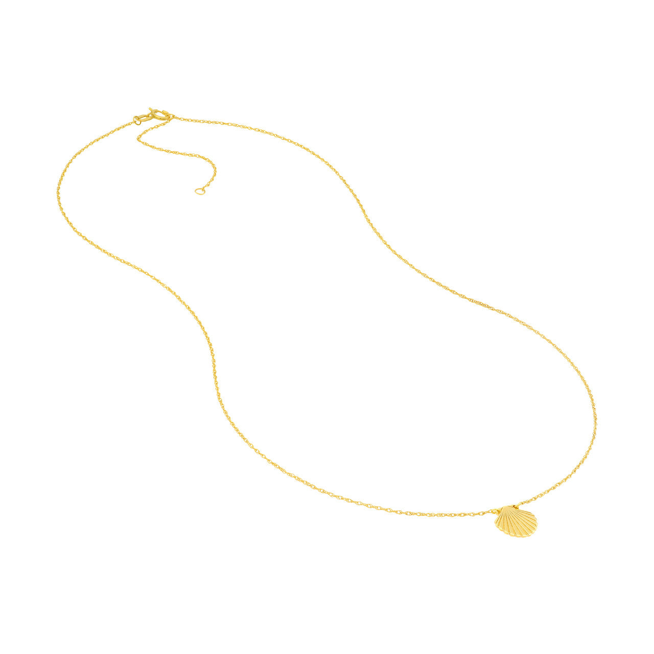 Simple seashell necklace by My Store, featuring a delicate design with natural shell accents on a thin chain.