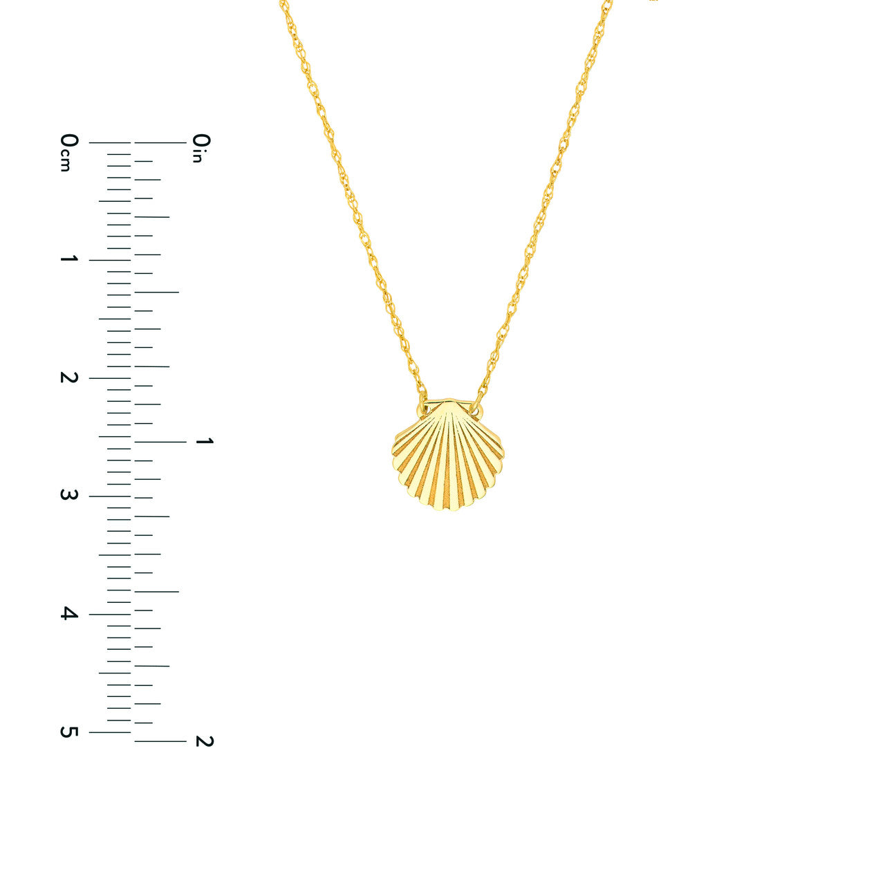 Simple sea shell necklace by My Store featuring natural textures and a delicate design.