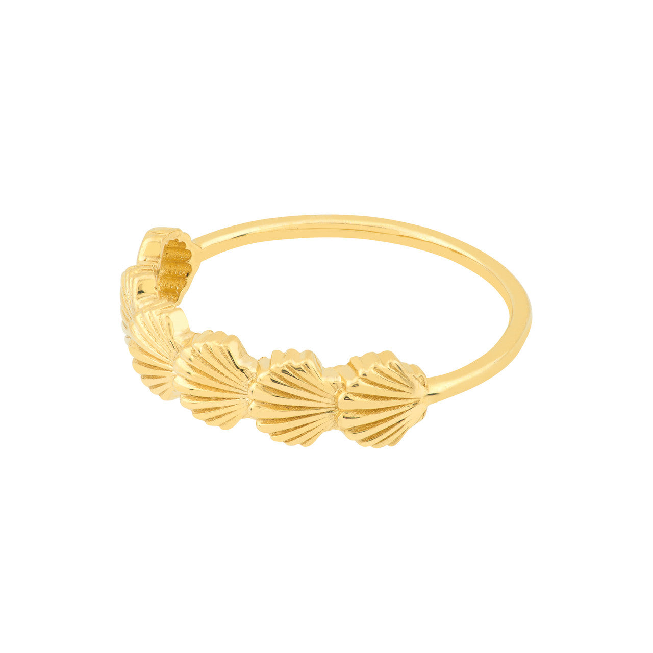 Scallop seashell ring in silver with intricate detailing, showcasing a unique ocean-inspired design.