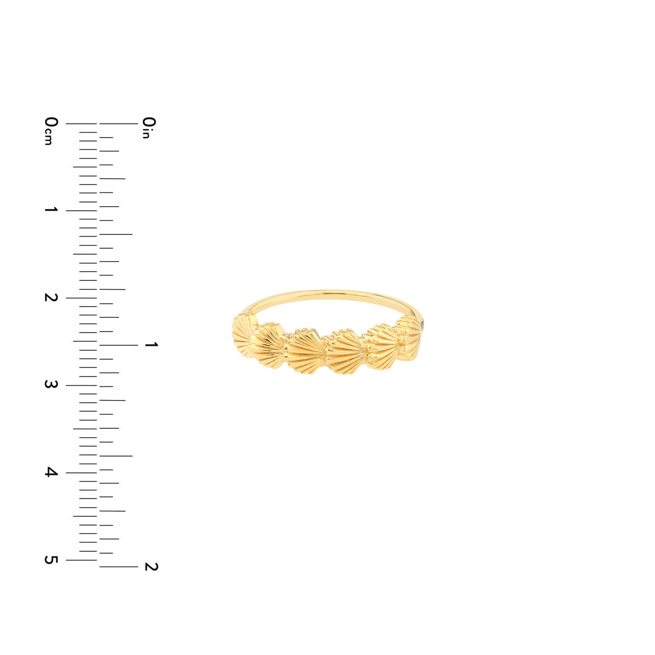 Scallop Seashell Ring - VIA Jewelers