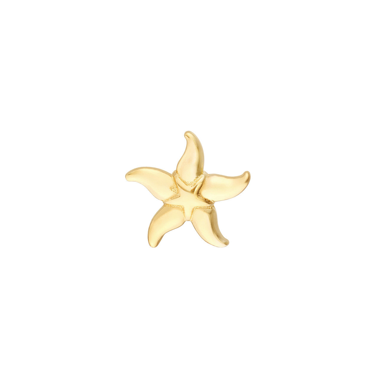Simple starfish stud earrings by My Store featuring a delicate design in a gold finish.