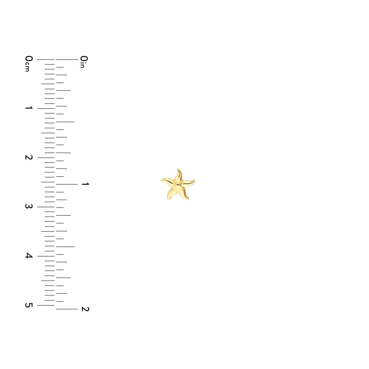 Simple starfish stud earrings by My Store, featuring detailed design and polished finish for a nautical touch.