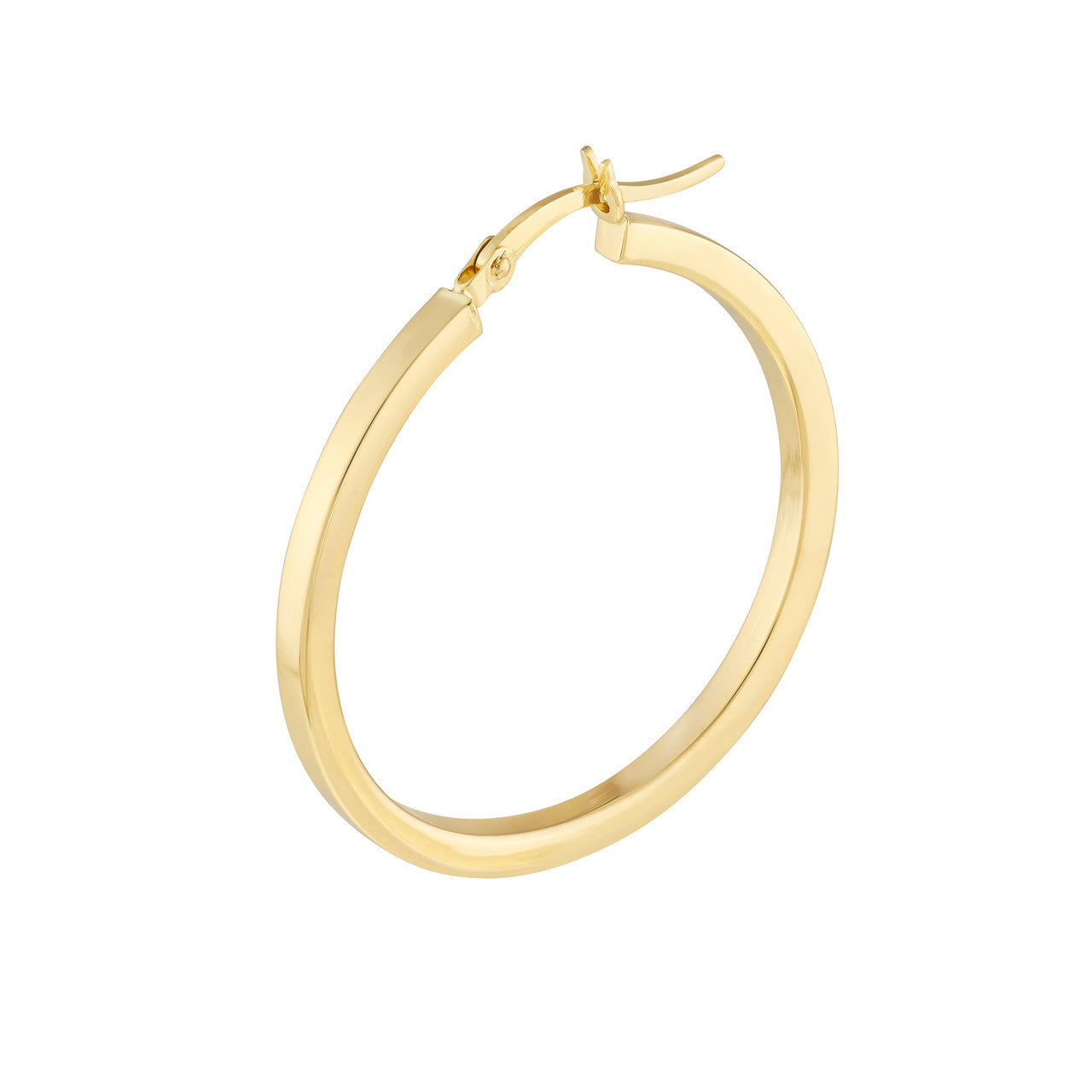 Gold Hoop Earring