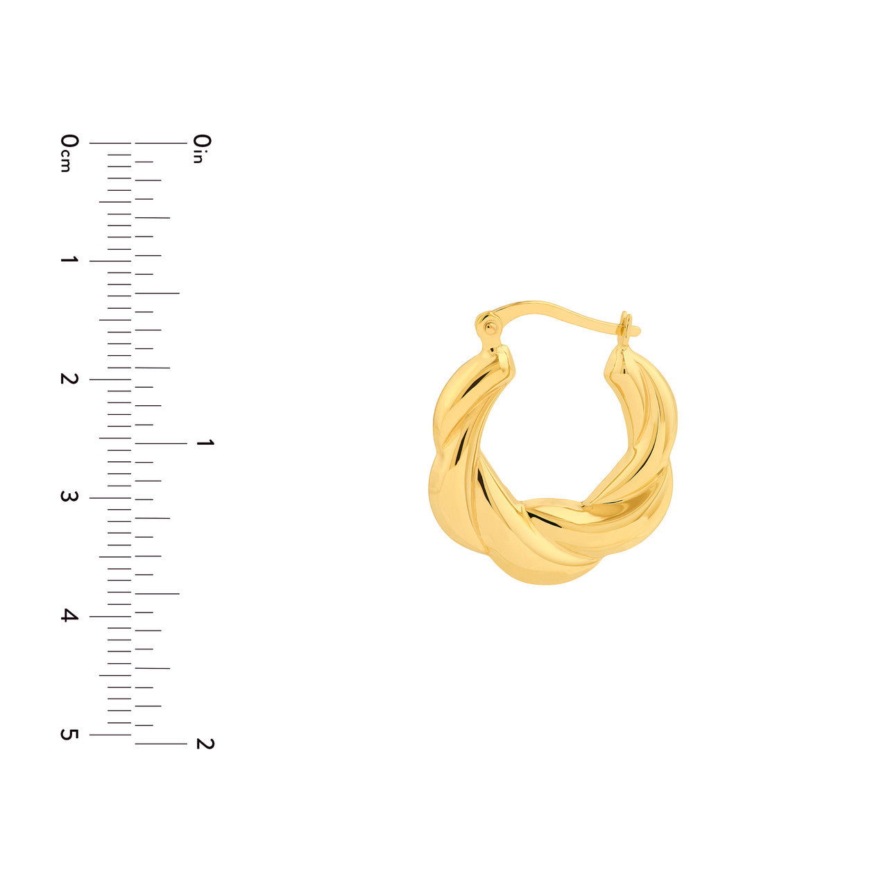 Twisted Round Hoop Earrings