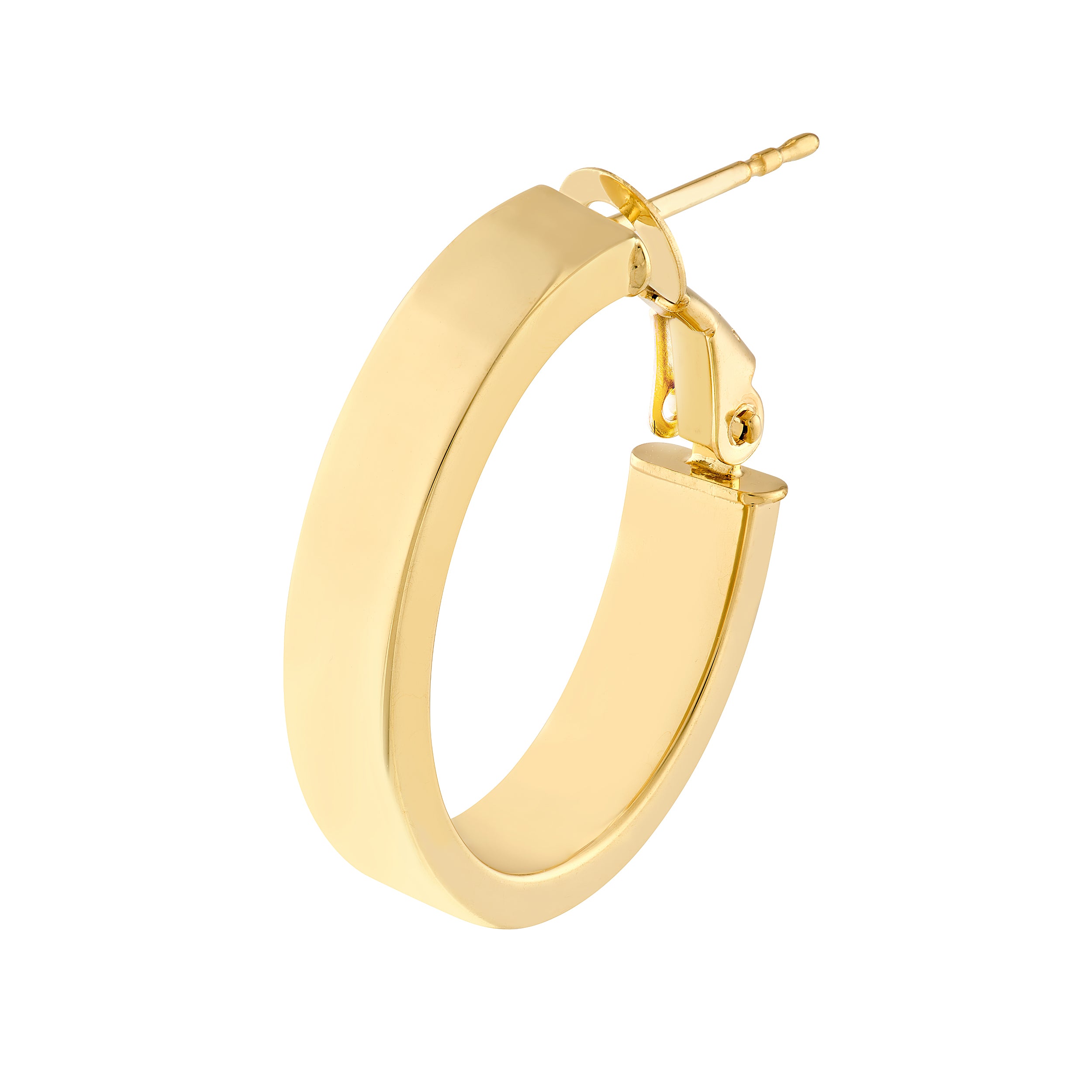 Oval Hoop Earrings