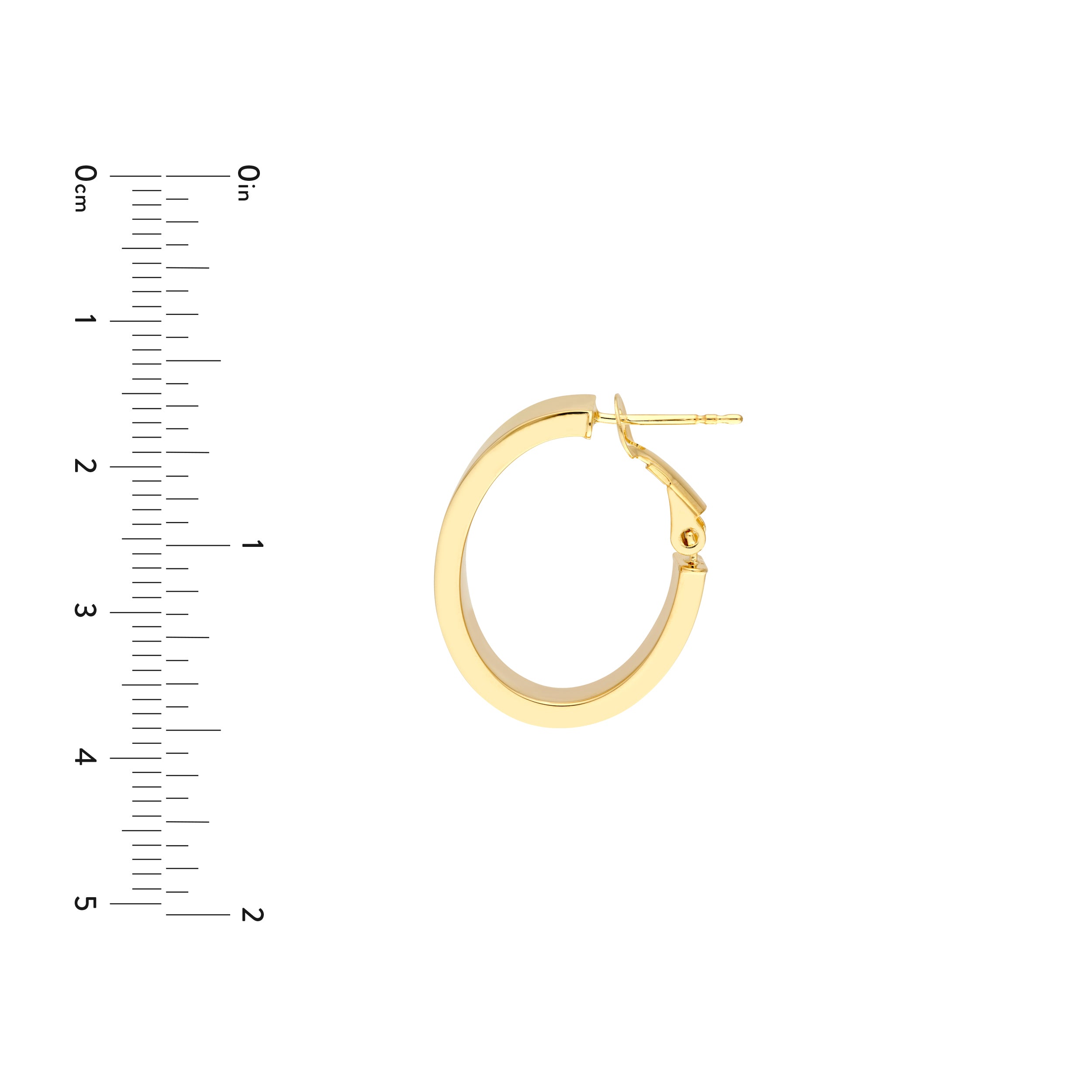 Oval Hoop Earrings