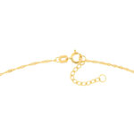 Two-Tone Rose Heart Trio Adjustable Anklet 3