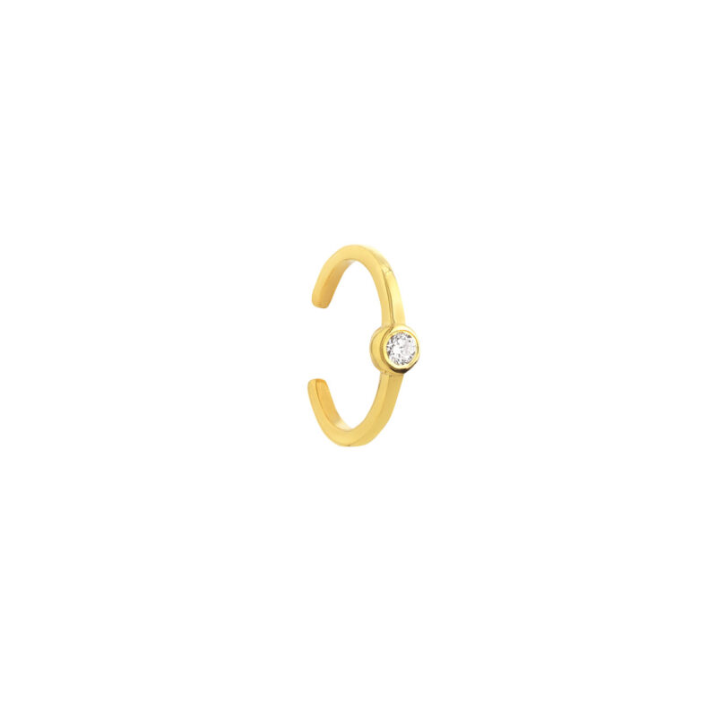 Ear cuffs